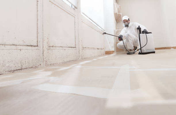 24/7 Emergency Mold Inspection experts in Occoquan, VA