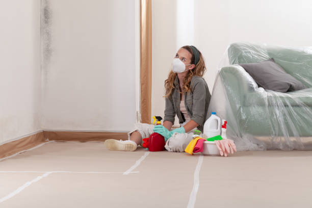 Reliable Mold Inspection contractor in Occoquan, VA by WQB Mold Removal