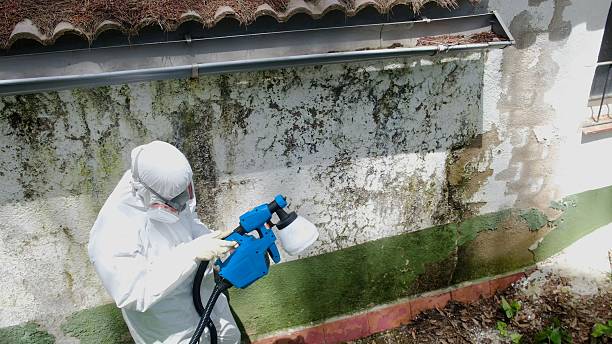 Top rated local Mold Inspection specialists in Occoquan, VA